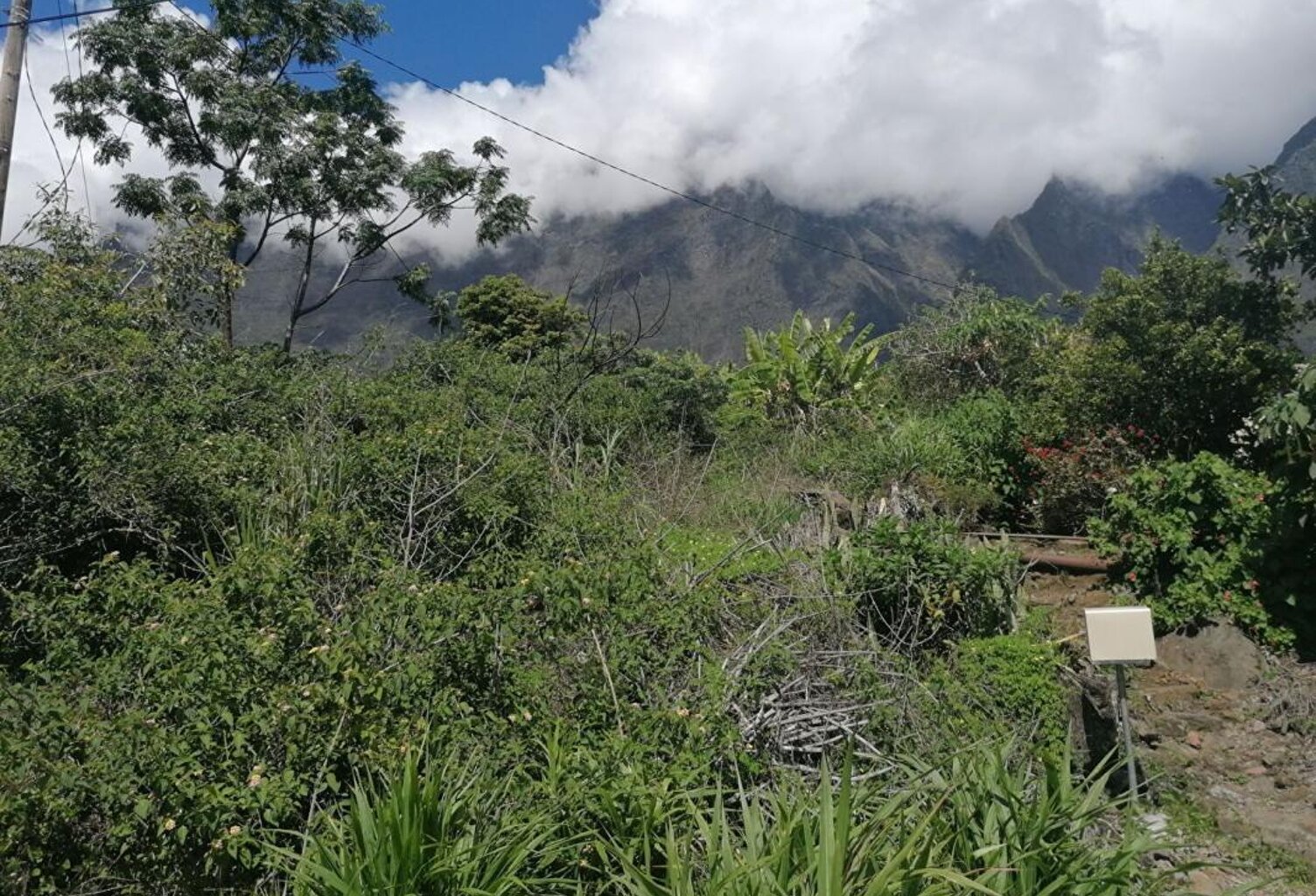 Terrain Cilaos 1200 m2 — photo 1