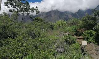 Terrain  1200 m² à vendre à Cilaos (97413)