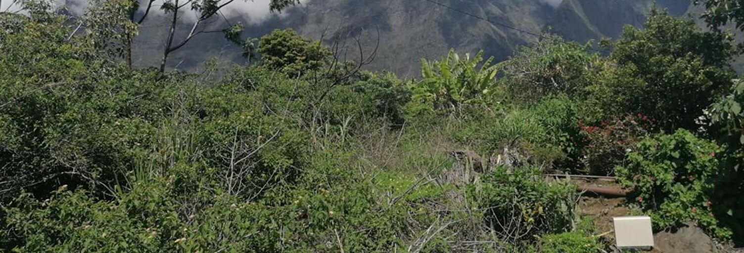 Terrain  1200 m² à vendre à Cilaos (97413)