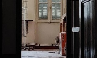 Photo N° 5