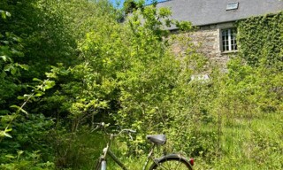 Photo N° 4