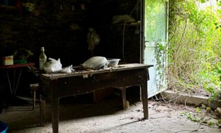 Photo N° 6