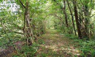 property.type.service  464000 m² à vendre à Coullons (45720)