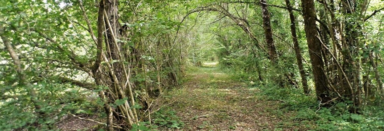 property.type.service  464000 m² à vendre à Coullons (45720)