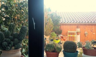 Photo N° 14