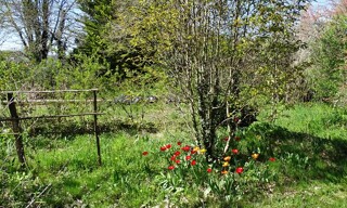 Photo N° 4