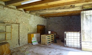 Photo N° 5