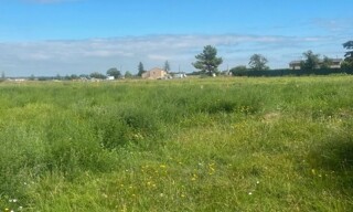 Photo N° 4