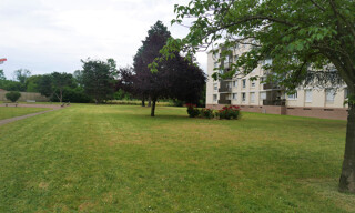 Photo N° 8