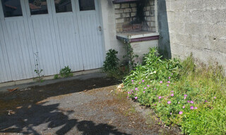 Photo N° 3