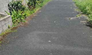 Photo N° 6