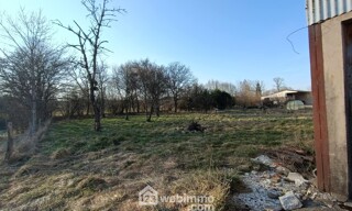 Photo N° 4