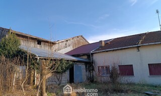 Photo N° 9