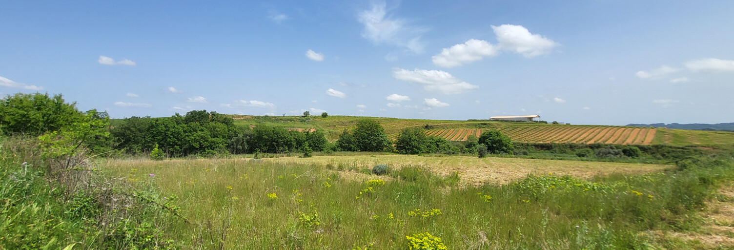 Terrain  11510 m² à vendre à Caux (34720)