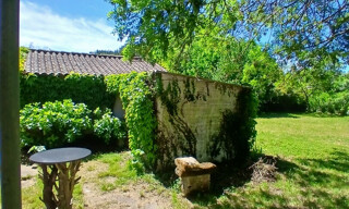 Photo N° 6