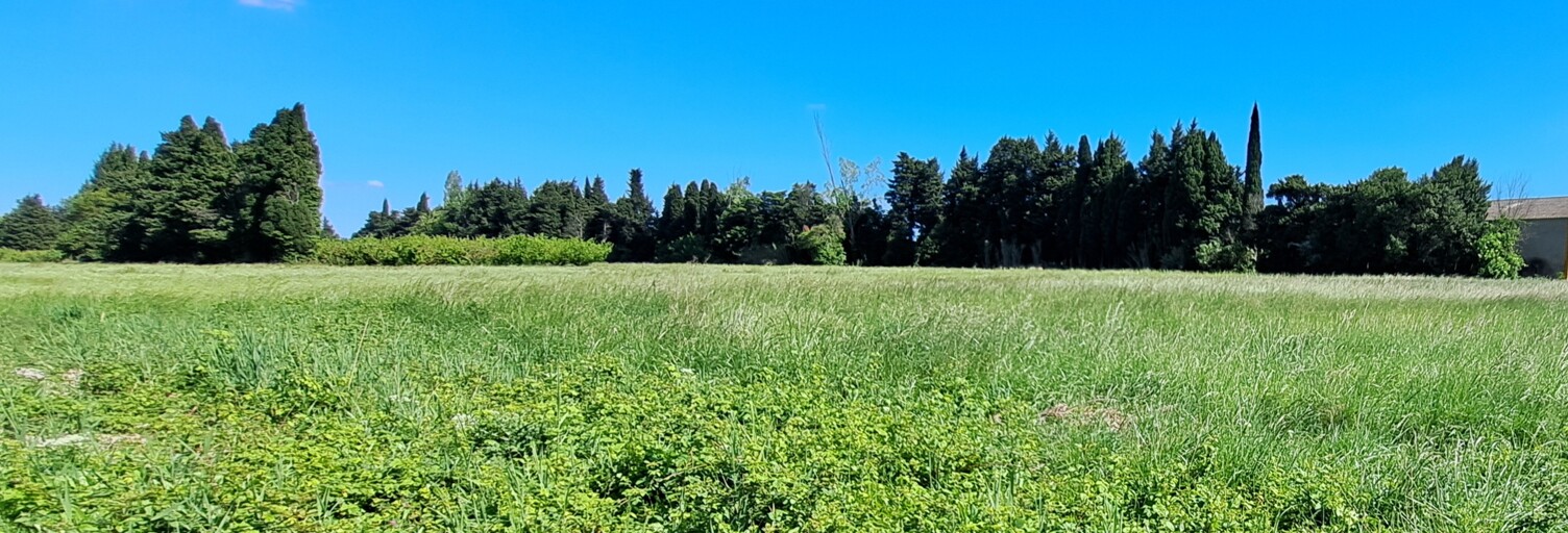 Terrain 900 m² à construire L'Isle-sur-la-Sorgue (84800)