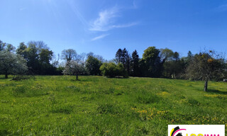 Photo N° 4