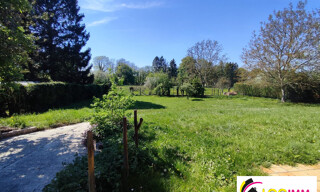 Photo N° 5