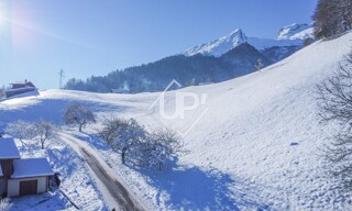 Photo N° 6