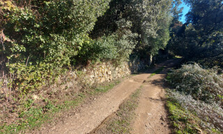 Photo N° 4