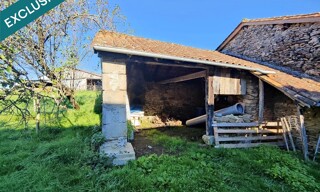 Photo N° 8