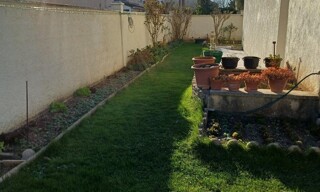 Photo N° 4