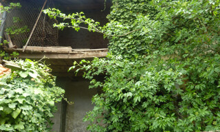 Photo N° 3