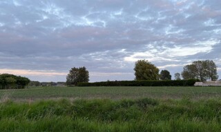 Terrain  700 m² à vendre à Gonnehem (62920)