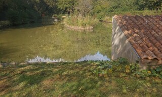Photo N° 3