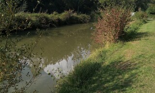 Photo N° 4