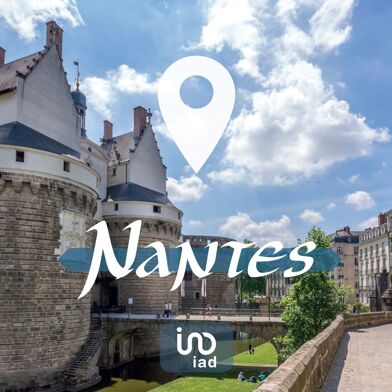 Commerce  954000 €