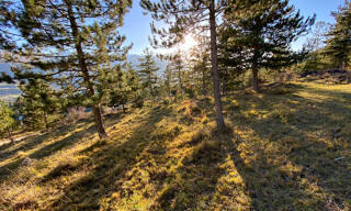 Terrain  2679 m² à vendre à Embrun (05200)
