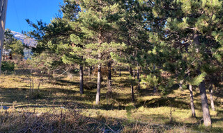 Terrain  1741 m² à vendre à Embrun (05200)
