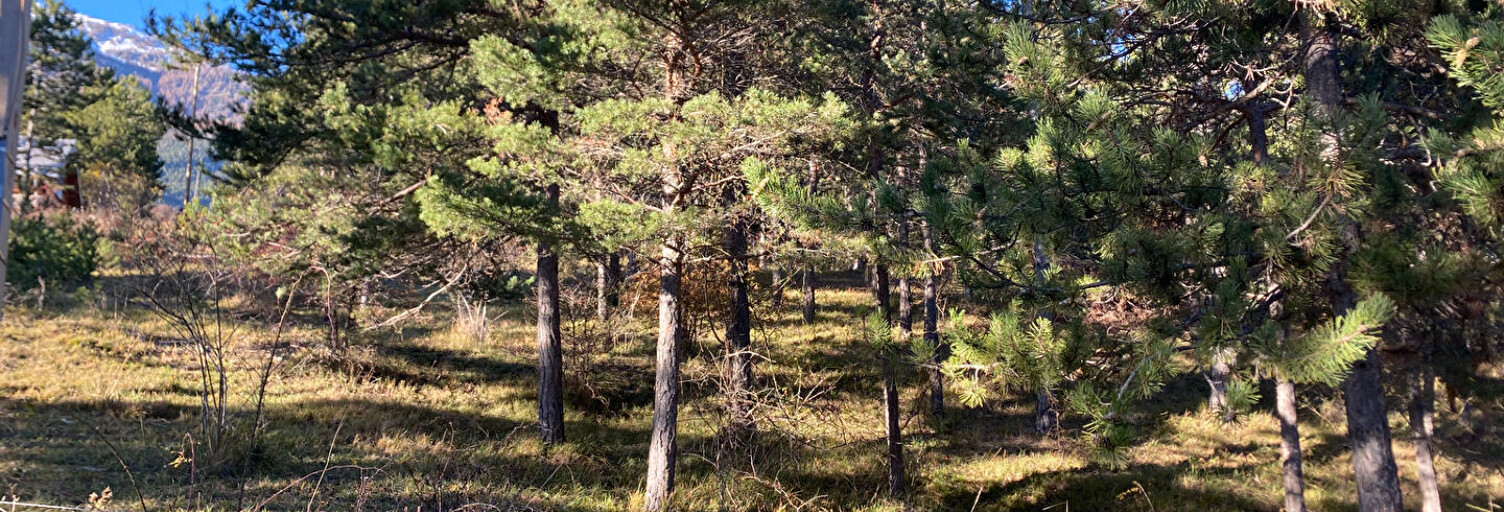 Terrain  1741 m² à vendre à Embrun (05200)