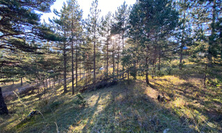 Terrain  1803 m² à vendre à Embrun (05200)