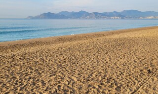 Photo N° 3