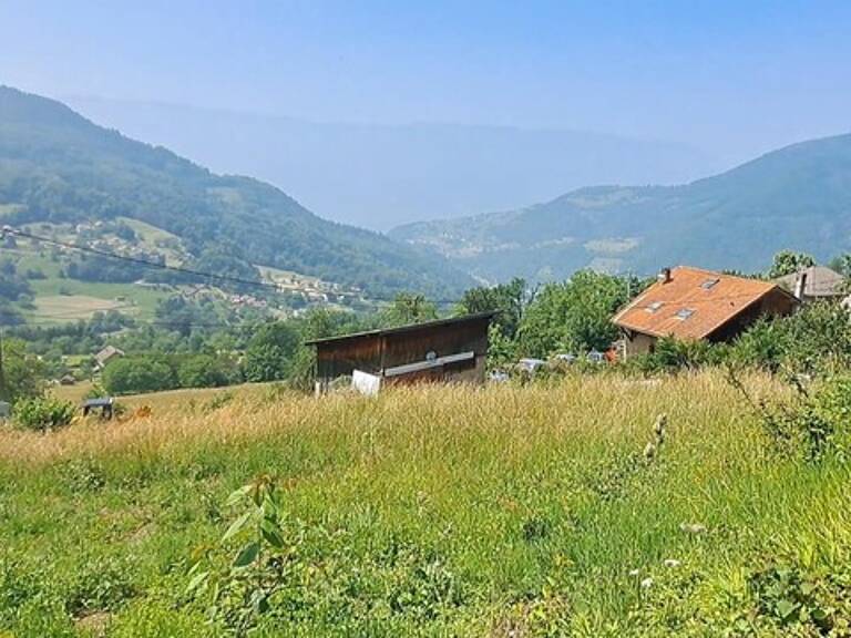 Terrain — photo 1