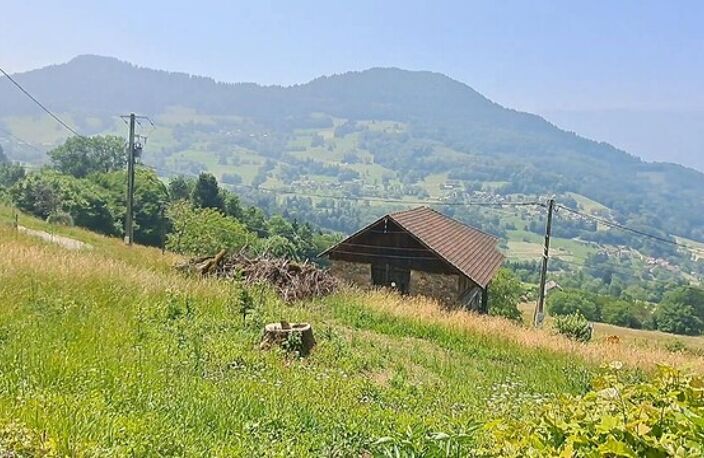 Terrain — photo 2