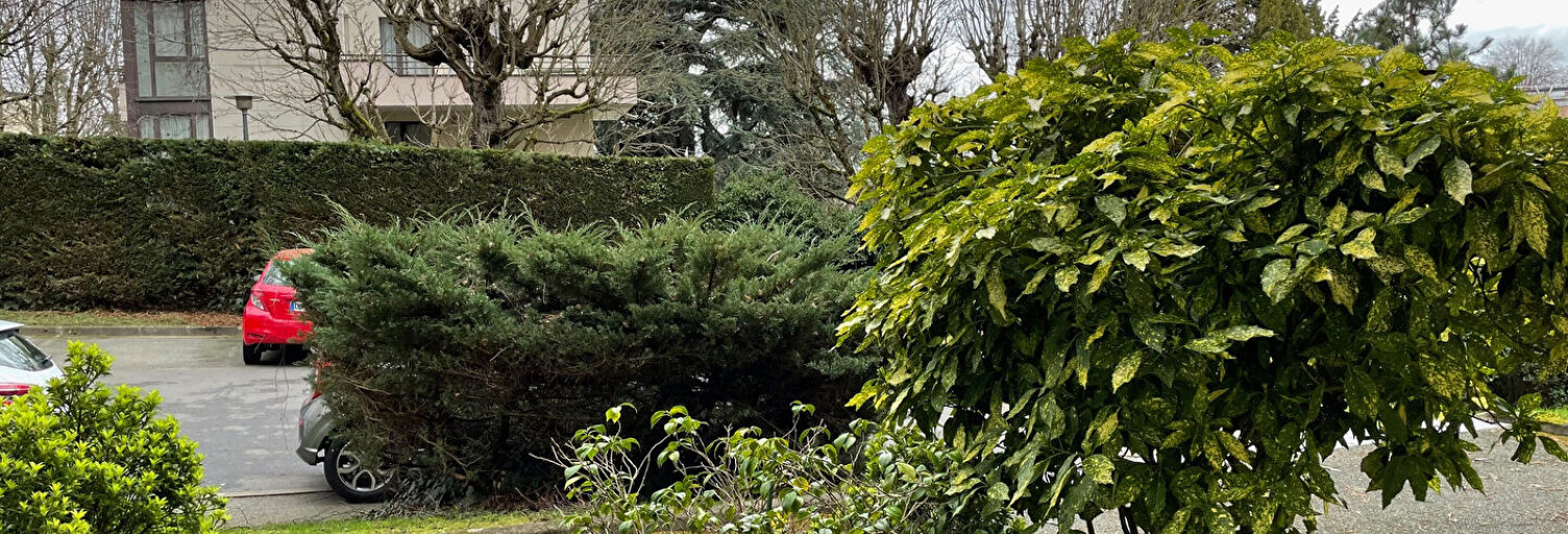 Appartement 2 Pièces 37 m² à vendre à Clamart (92140)