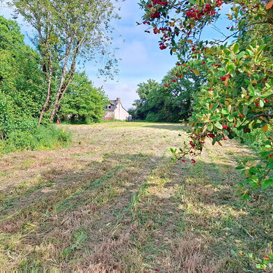 Terrain  33000 €