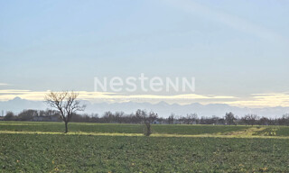 Photo N° 8