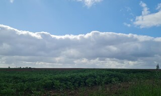 Terrain  1000 m² à vendre à Hermaville (62690)
