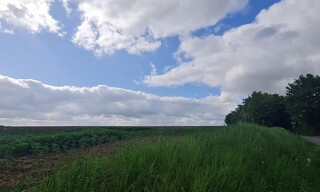 Photo N° 4