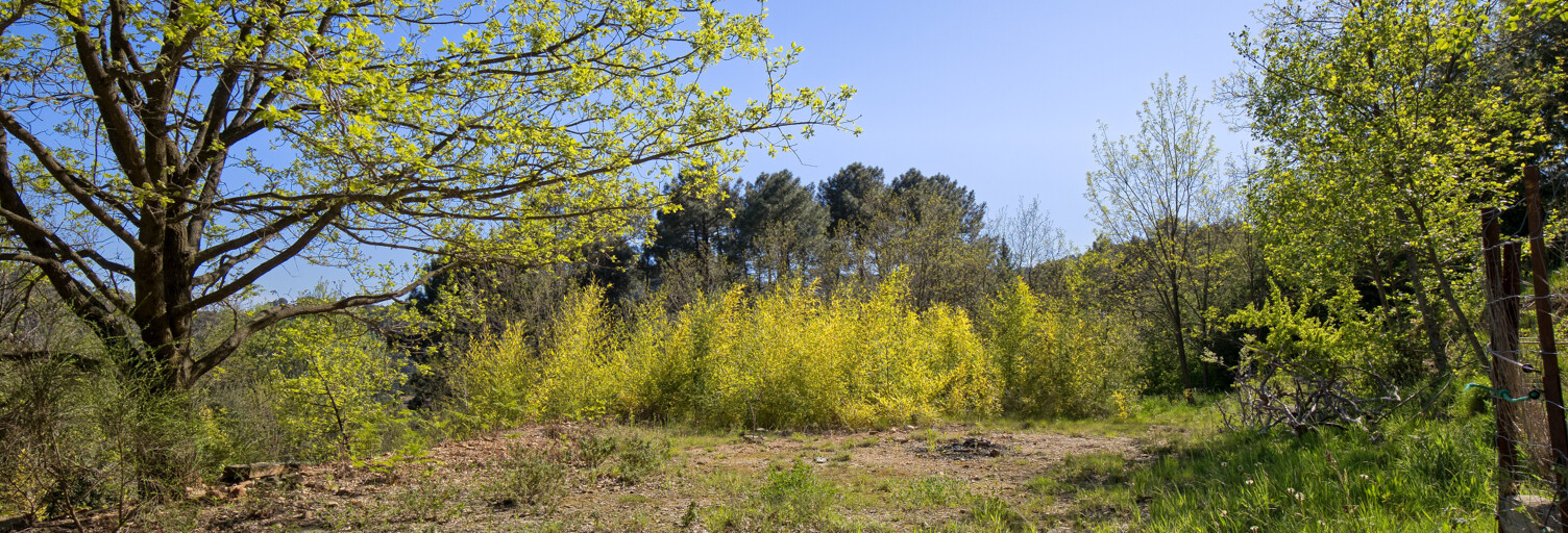 Terrain  1600 m² à vendre à Sainte-Cécile-d'Andorge (30110)