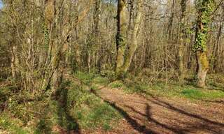Terrain  1098 m² à vendre à Saint-Pierre-de-Bat (33760)