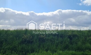 Photo N° 5