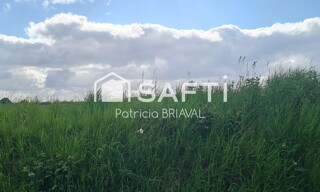 Photo N° 6