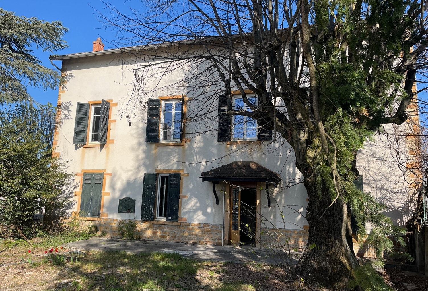 6674- LIMAS — photo 1