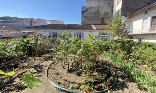 Photo N° 4