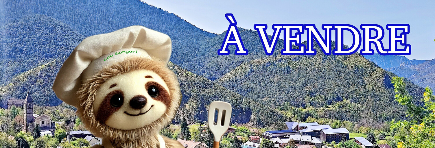 Divers  53 m² à vendre à Valdeblore (06420)